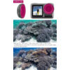 Kép 3/9 - DJI Osmo Action Diving szűrő készlet (pink snorkel, red, magenta filter)